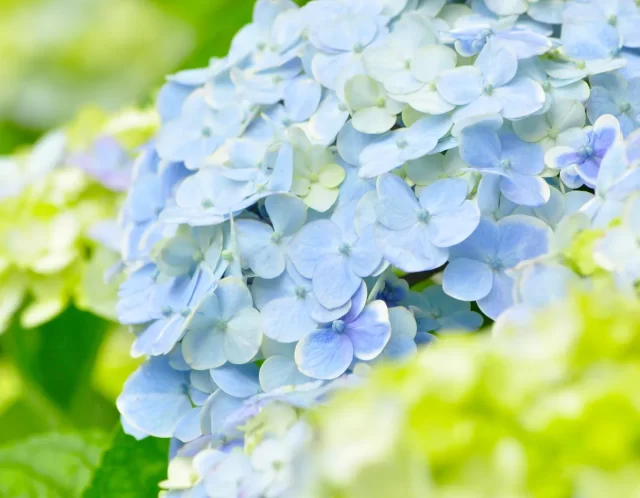 勇気と自信をくれた言葉